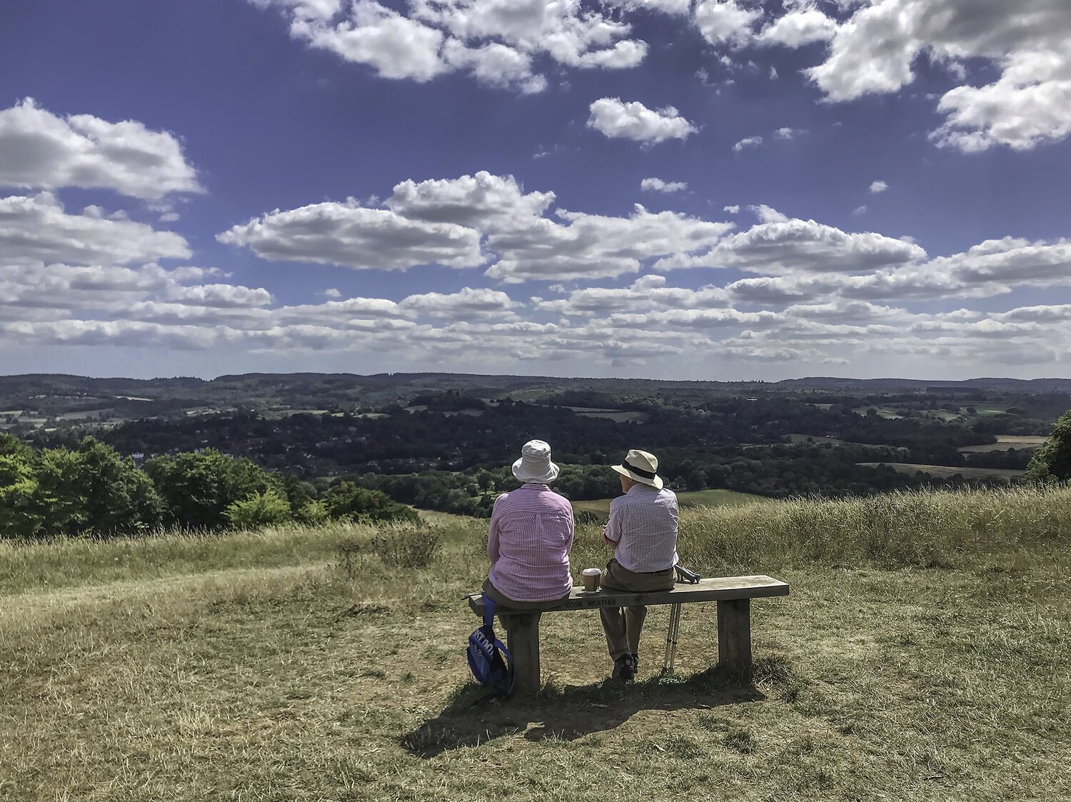 Denbies+Hillside+Jul+2+WR.jpg