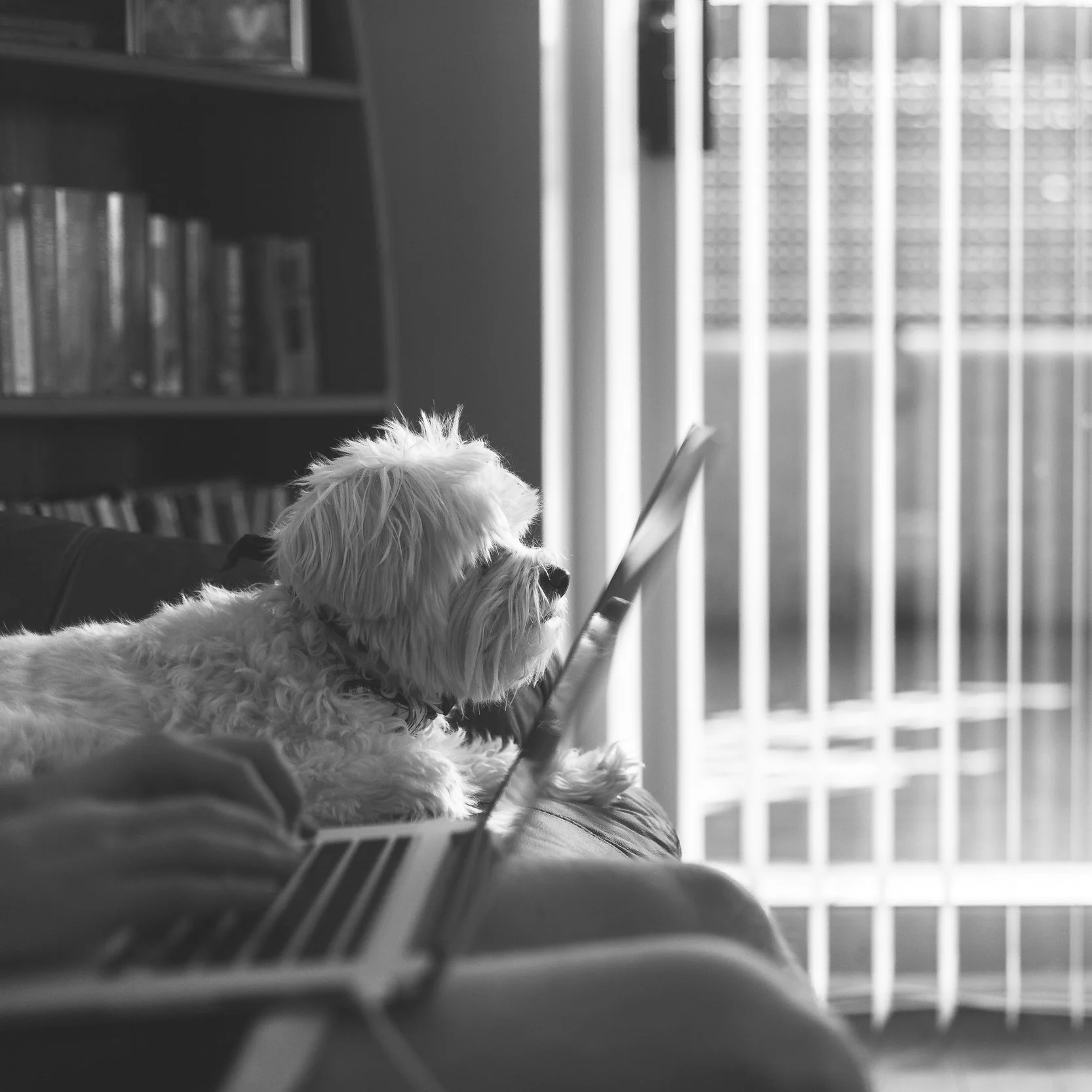 nick-turner-2570-unsplash.jpg