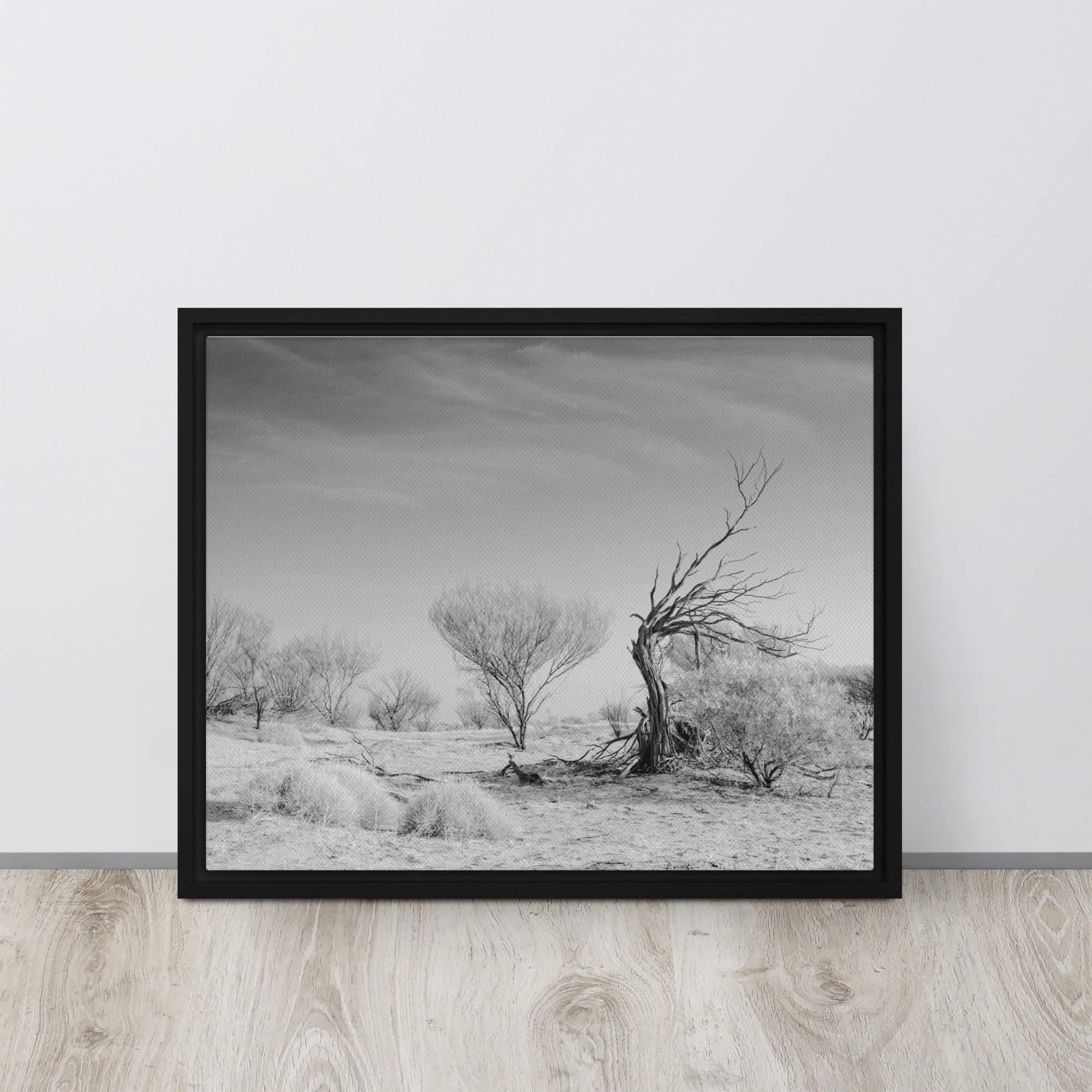framed-canvas-(in)-black-16x20-front-65ca690e18999.jpg
