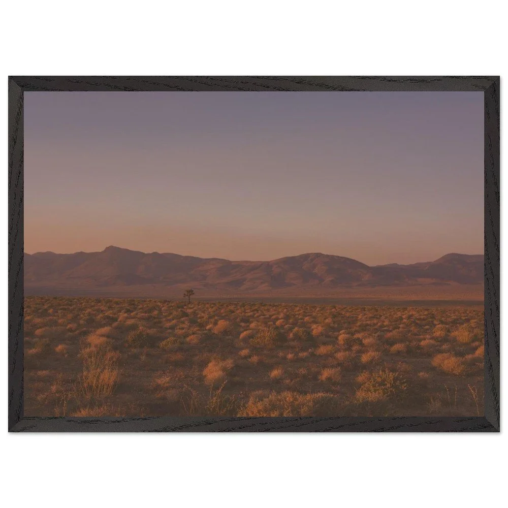 Coso Range Mounted Framed Poster – Desert View, Joshua Tree, Sunrise Colors