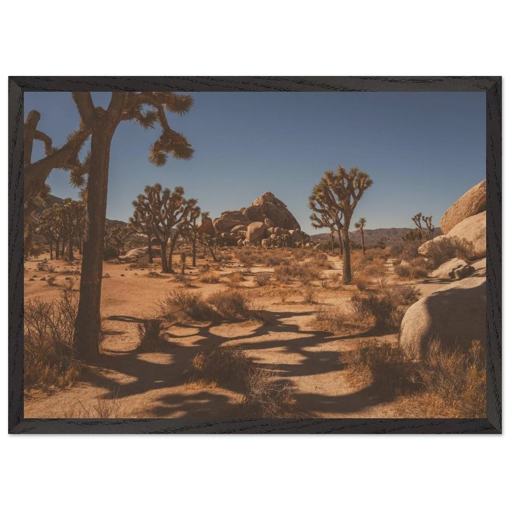 Joshua Tree National Park, California, USA