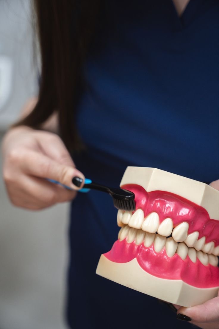 Person holding a dental model and brushing its teeth with a toothbrush.
