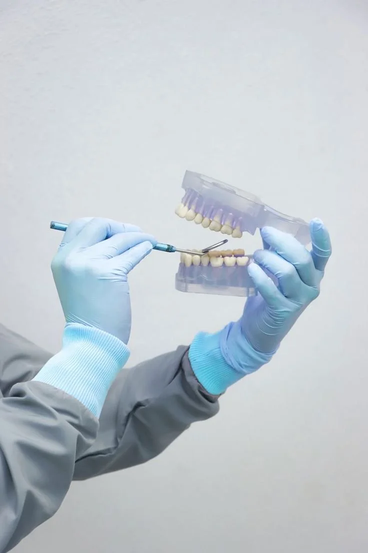 Person wearing blue gloves and gray coat holding a dental model of a mouth with teeth, using a dental tool to examine or adjust the model.