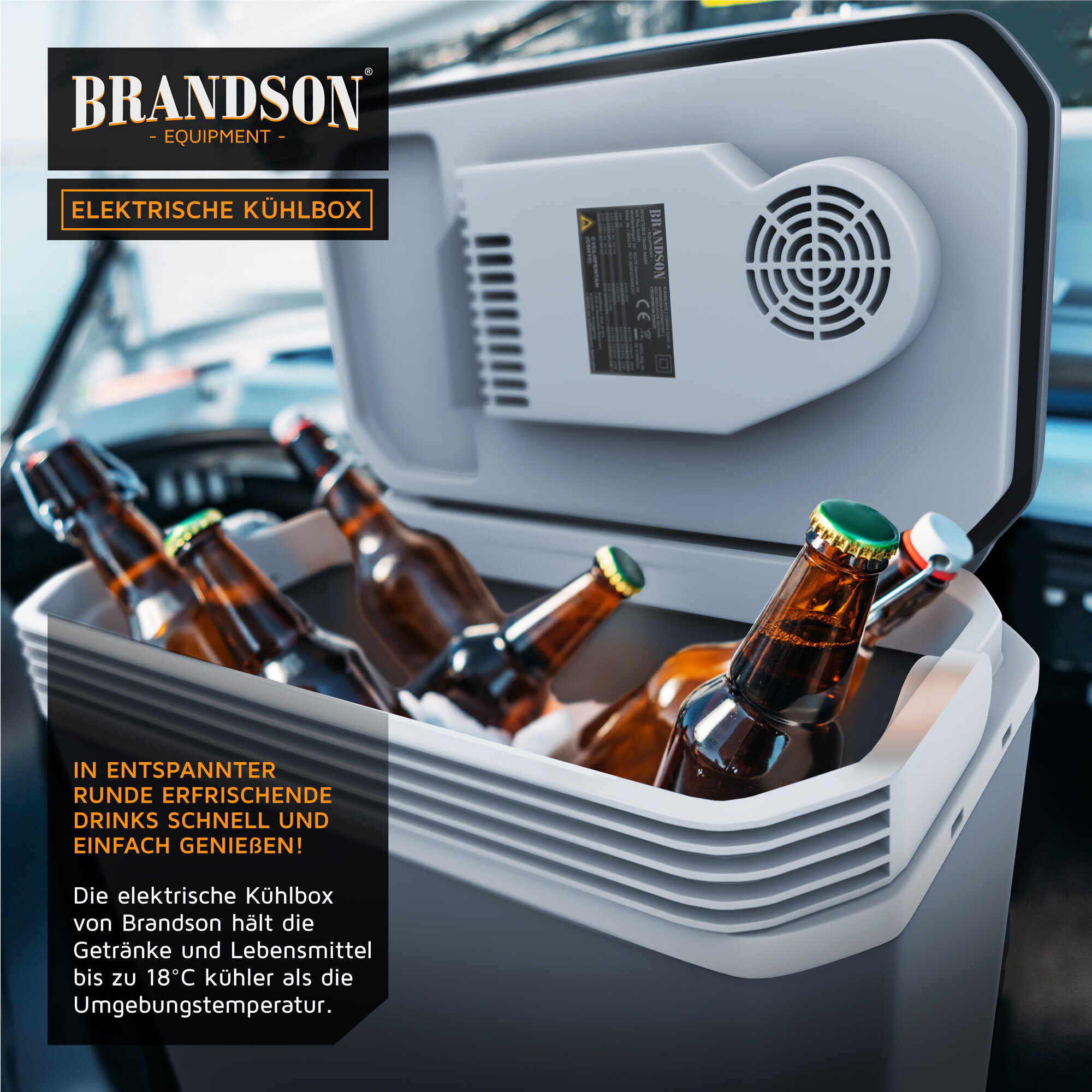 Brandson - Kühlbox elektrisch 10L – 230 V Netzspannung und 12 V KFZ Auto  Bordspannung – kühlt und wärmt – Heizen max. 65°C – Herabkühlen ca 20°C  unter
