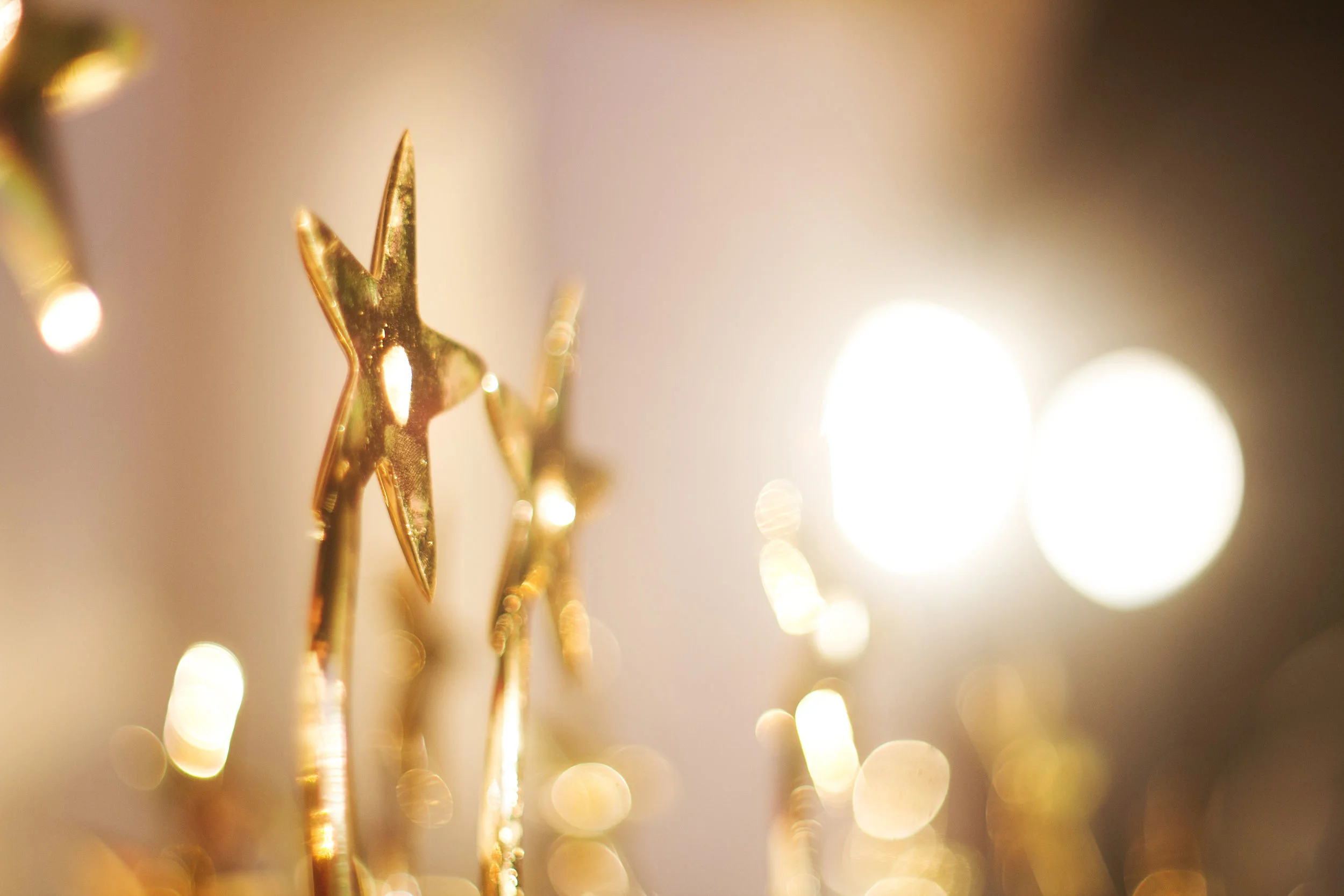 SOARING_FALCON_AWARDS.jpg
