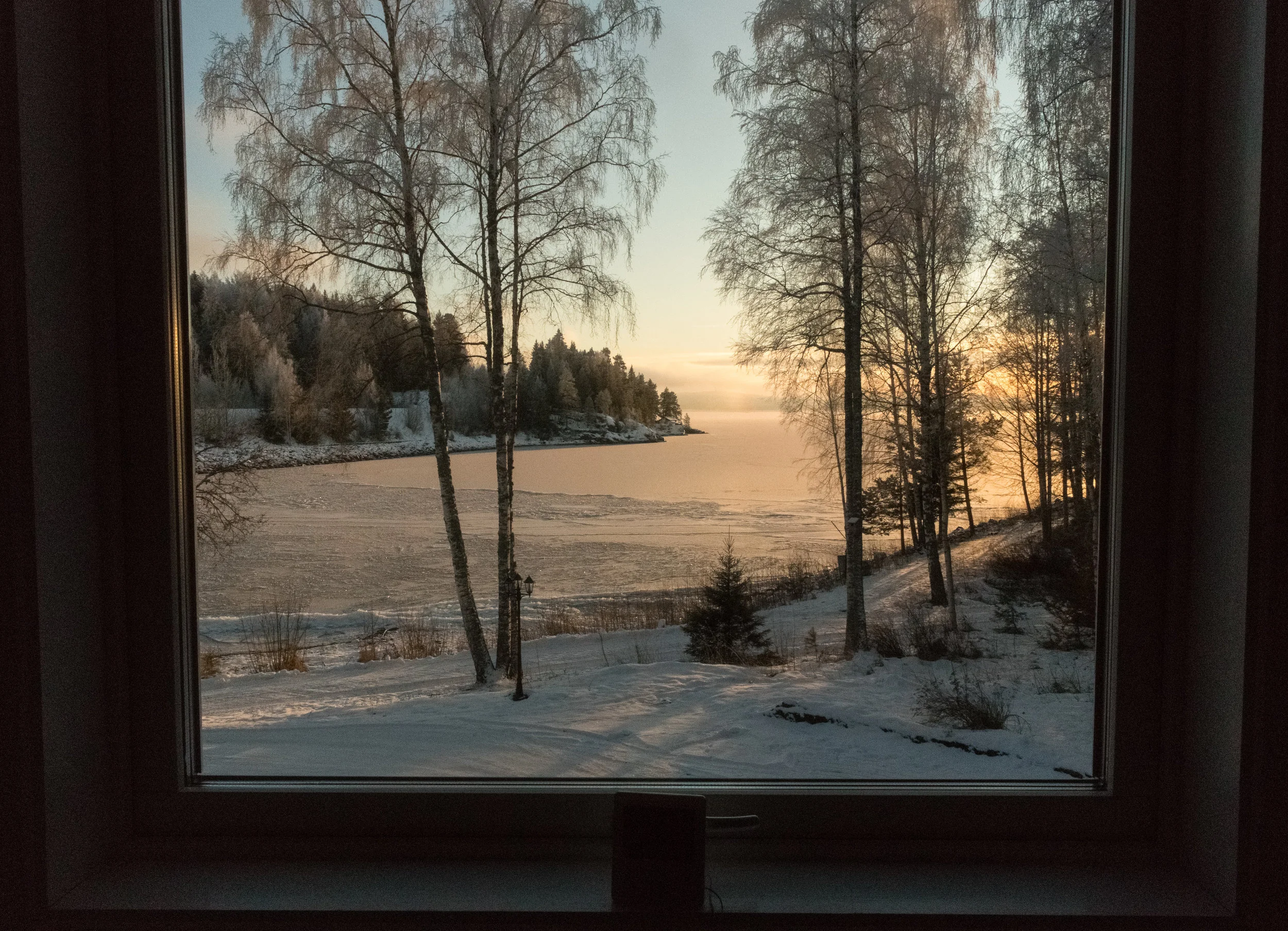 20180110-IMG_0473.jpg