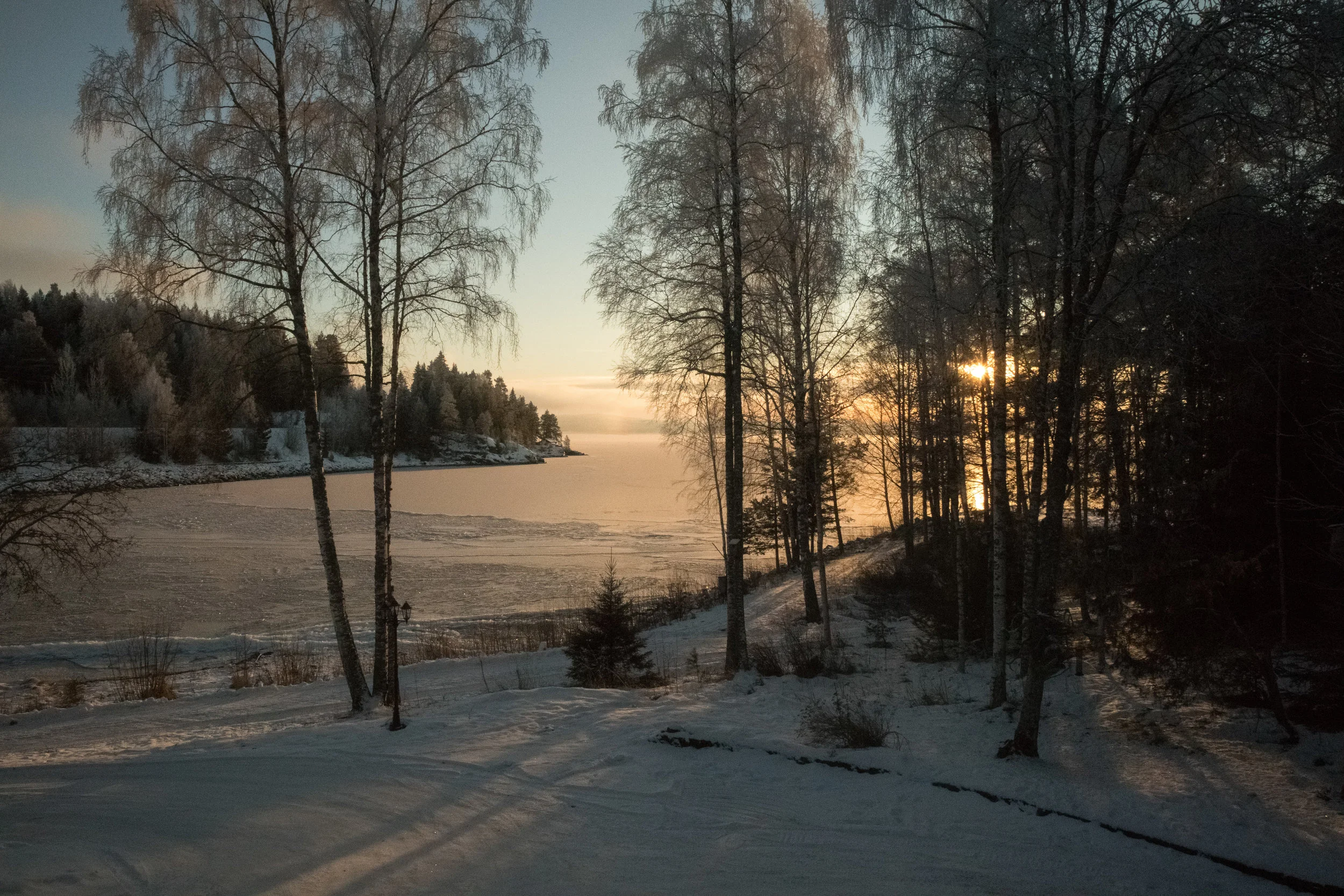 20180110-IMG_0475.jpg
