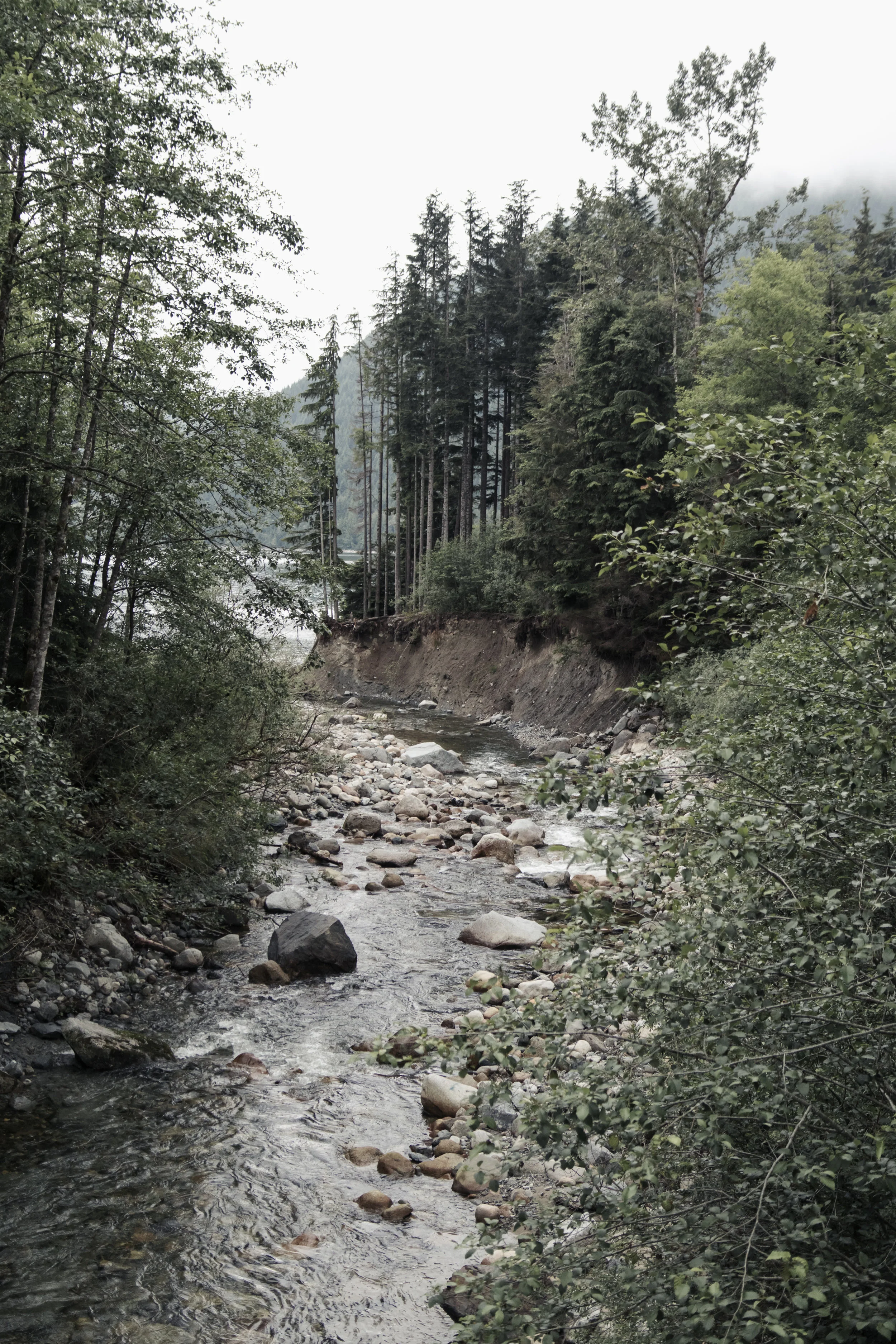 IMG_4738.jpg