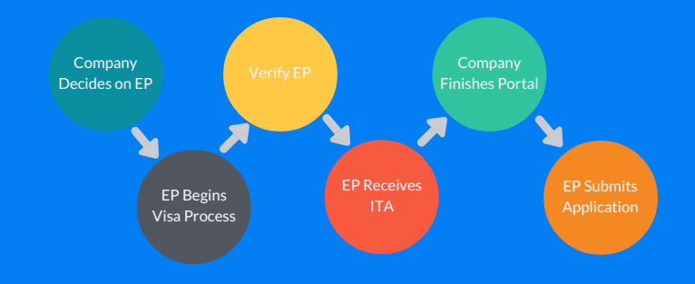 The Visa Process Flow.