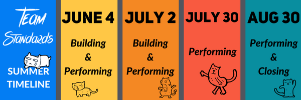 Summer 2017 timeline for Team Standards Surveys.