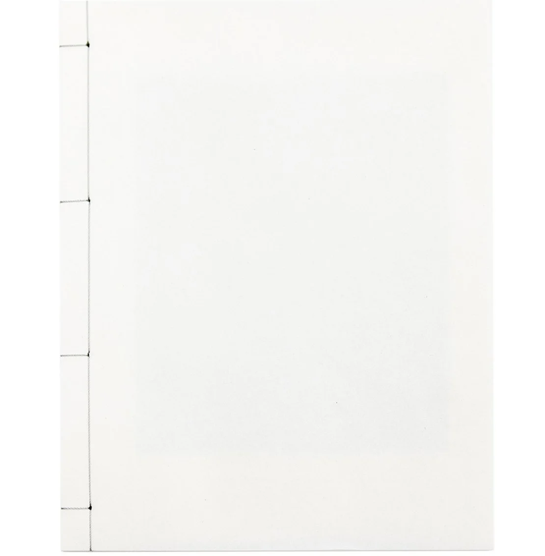 cover cropped.jpg