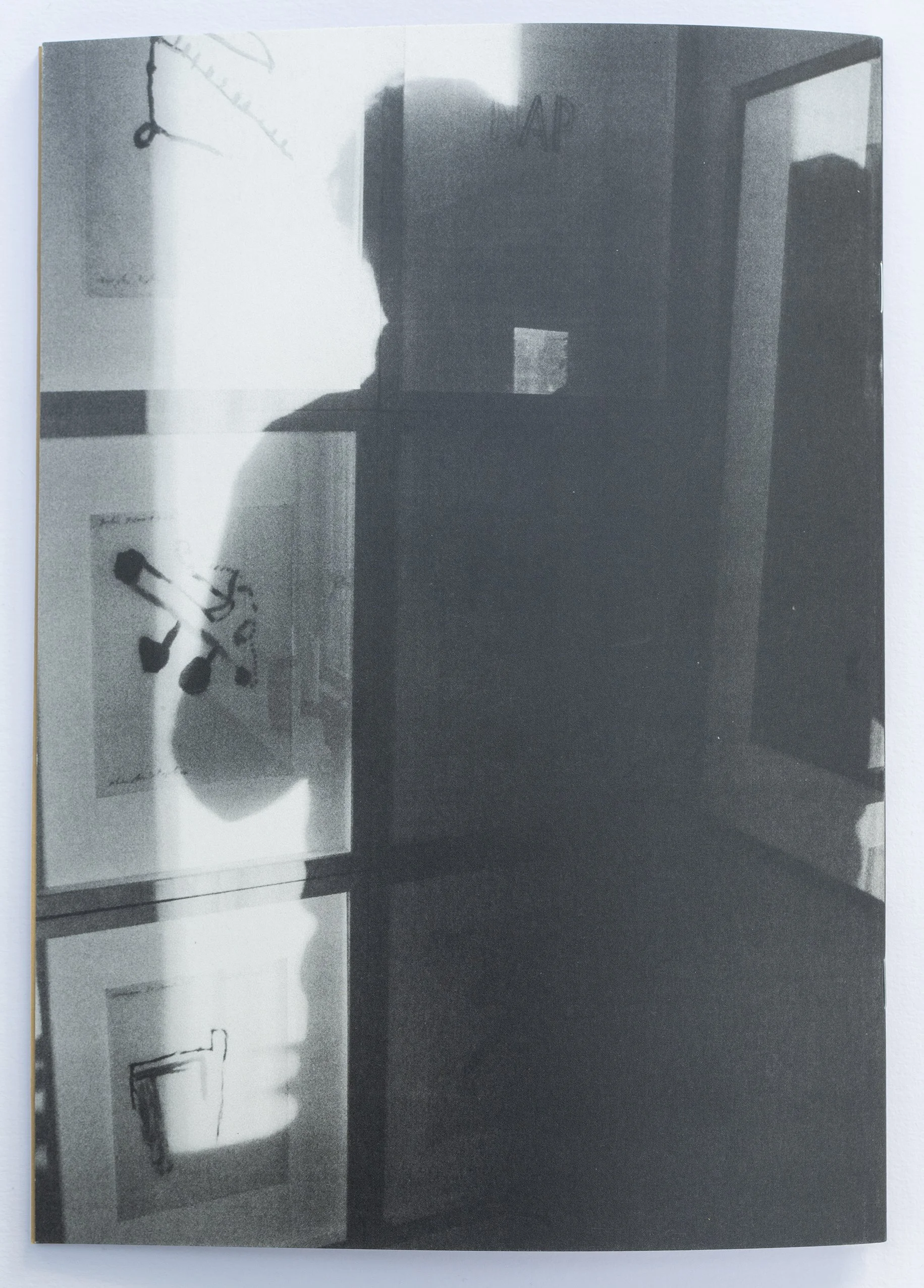 back cover.jpg