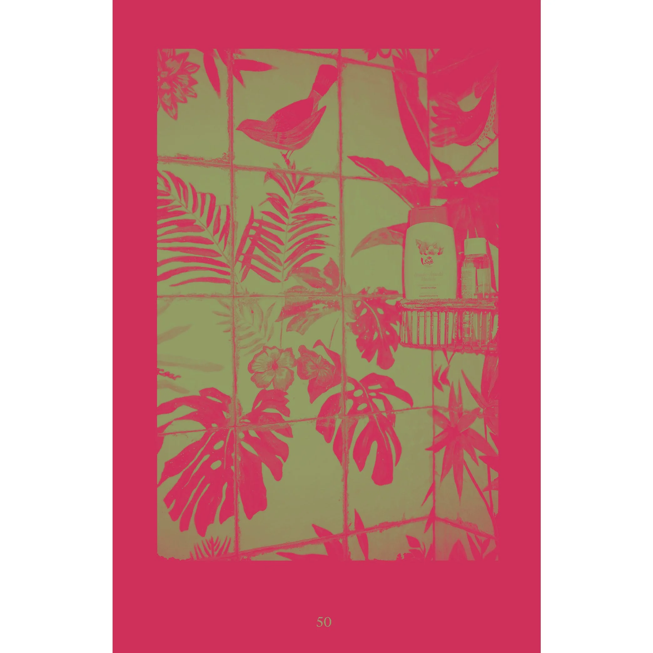 50 cover WEB copy.jpg