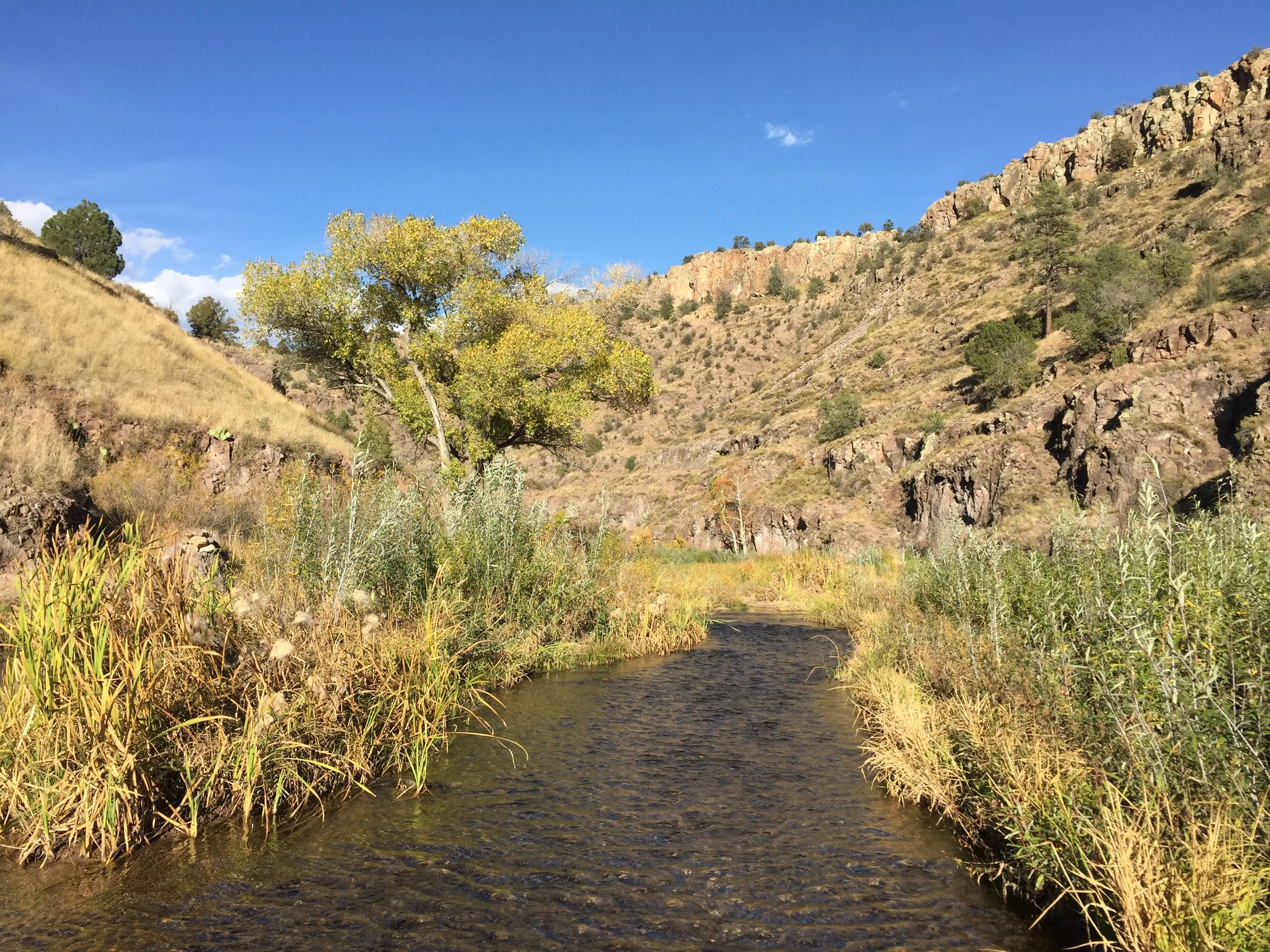 Gila River Festival