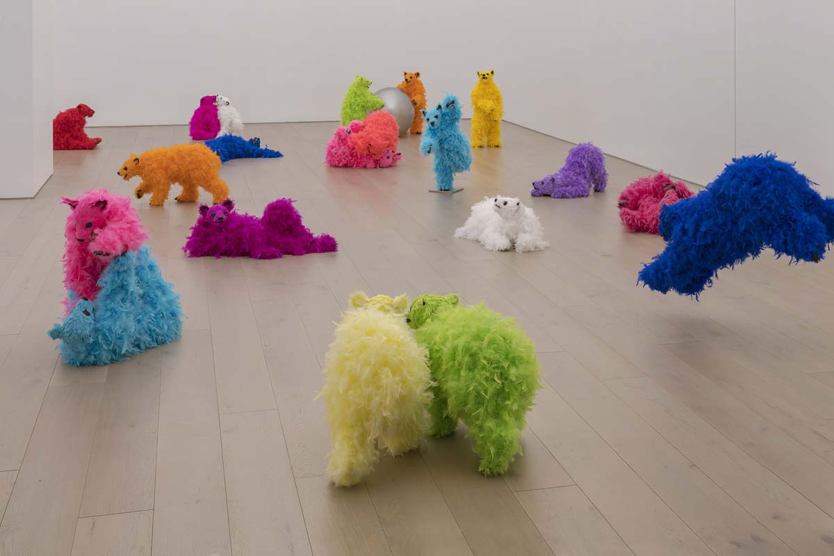 #11 - Installation View.jpg