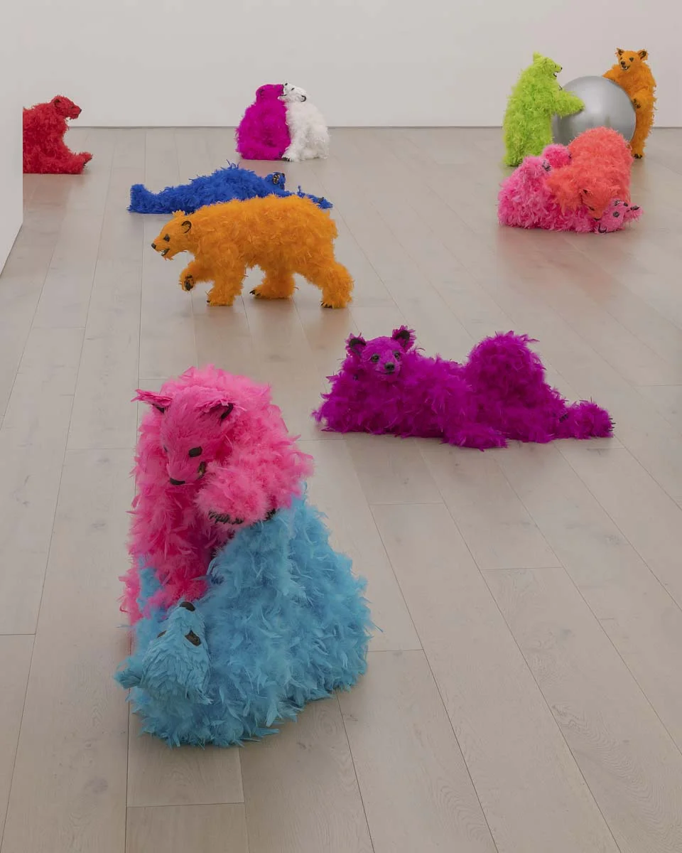 #13 - Installation View.jpg
