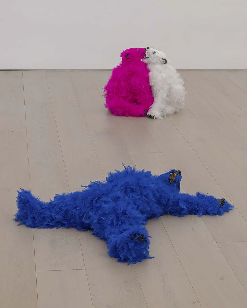 #15 - Installation View.jpg