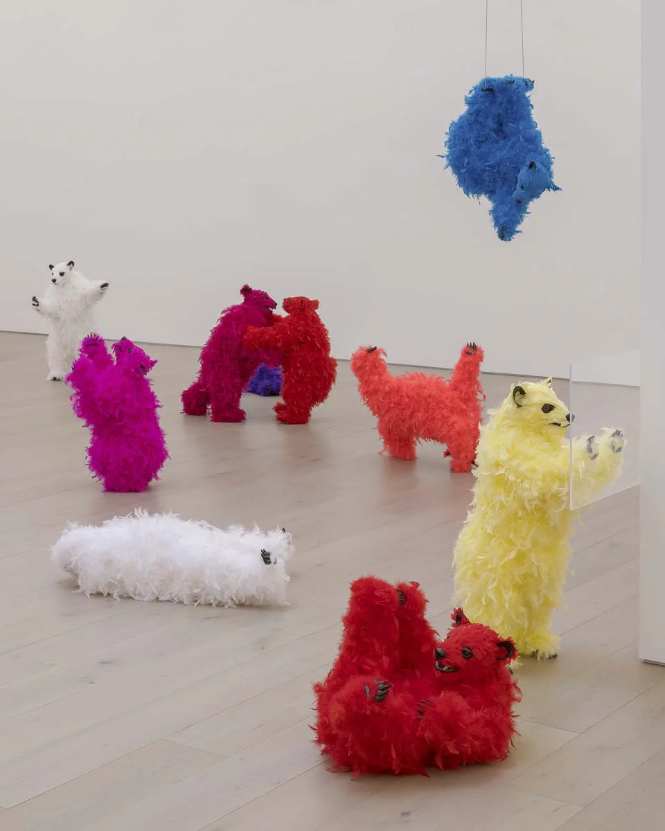 #16 - Installation View.jpg