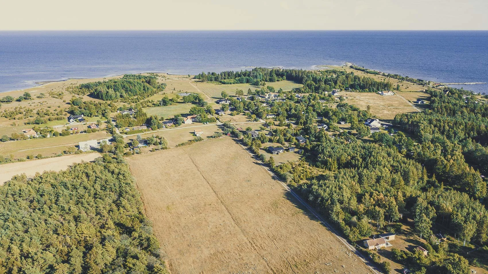 DJI_0036.jpg
