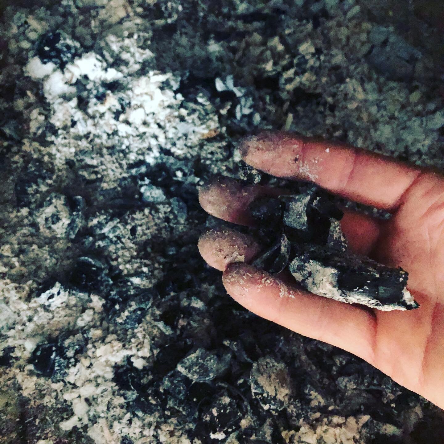 #thatfeeling when you feel closer to Cinderella than ever - sorting through the ash to make bokashi biochar 🤓😂 #permaculture #bokashi 💚