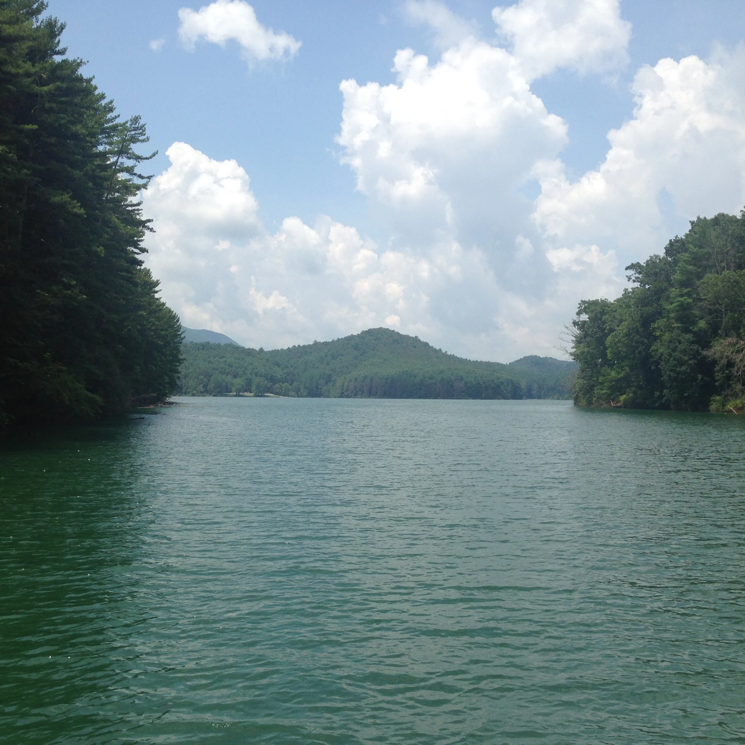 Poetry and Dolly Parton