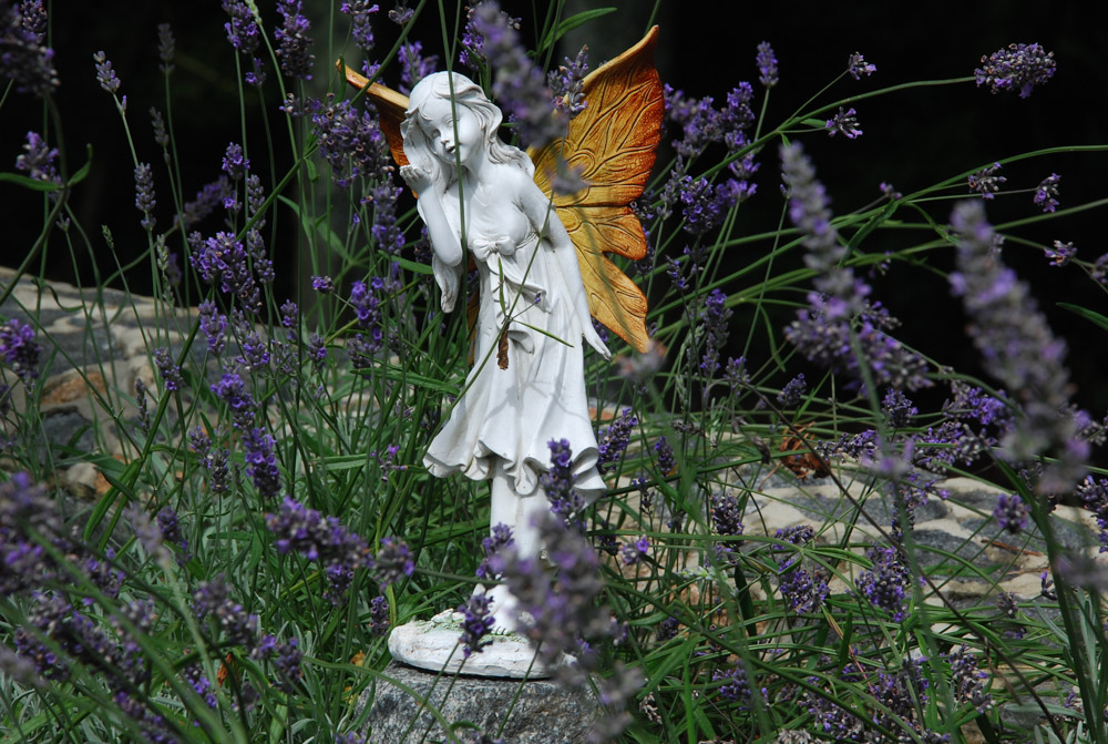 DSC_0216.jpg