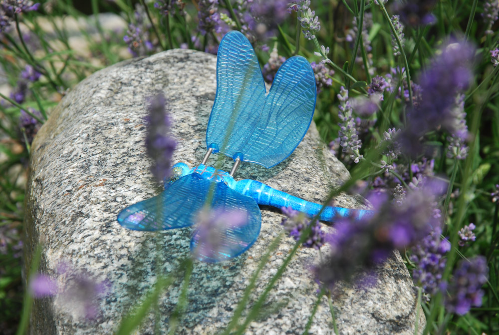 DSC_0220.jpg