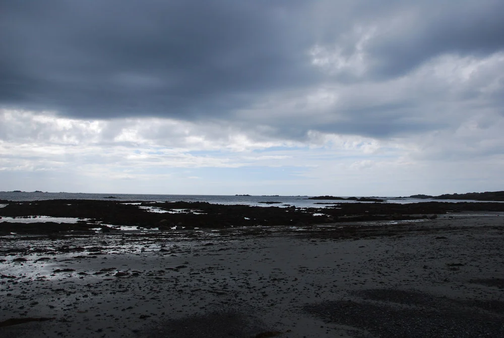 DSC_0289.jpg