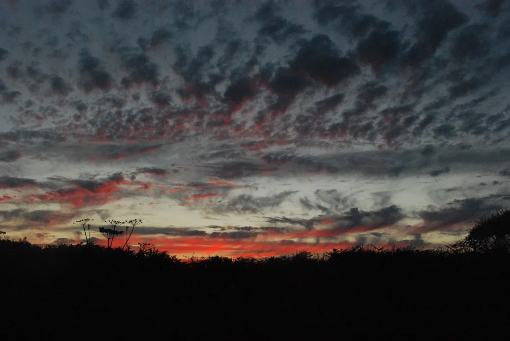 DSC_0807.jpg