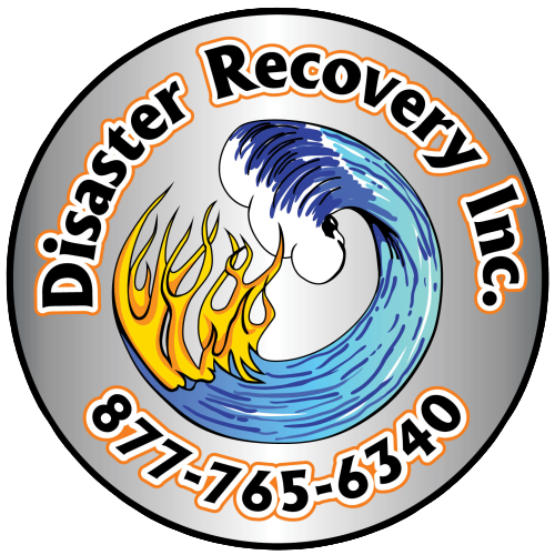 Disaster Recovery Inc