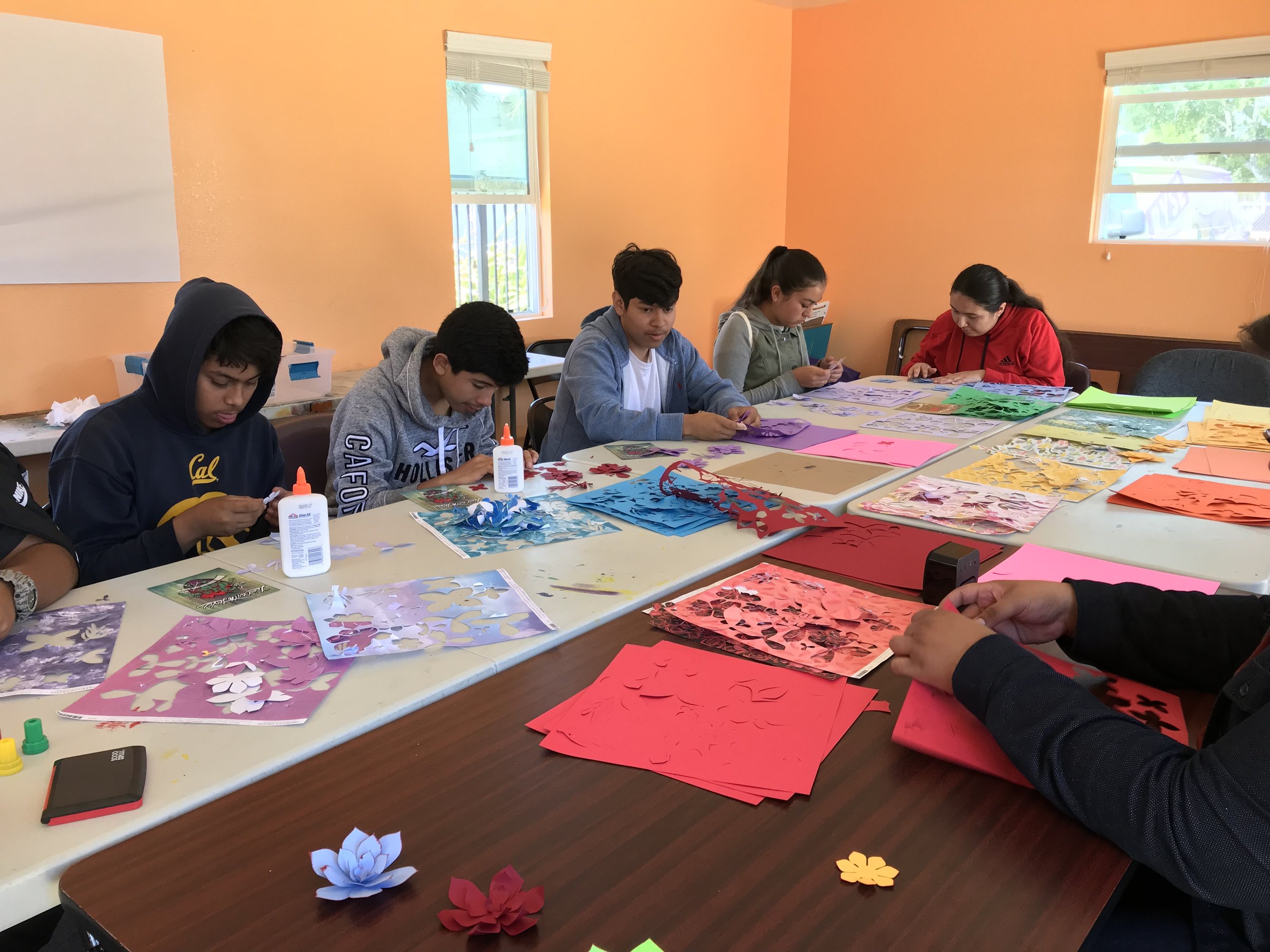 Tomodachi Youth Leadership Program