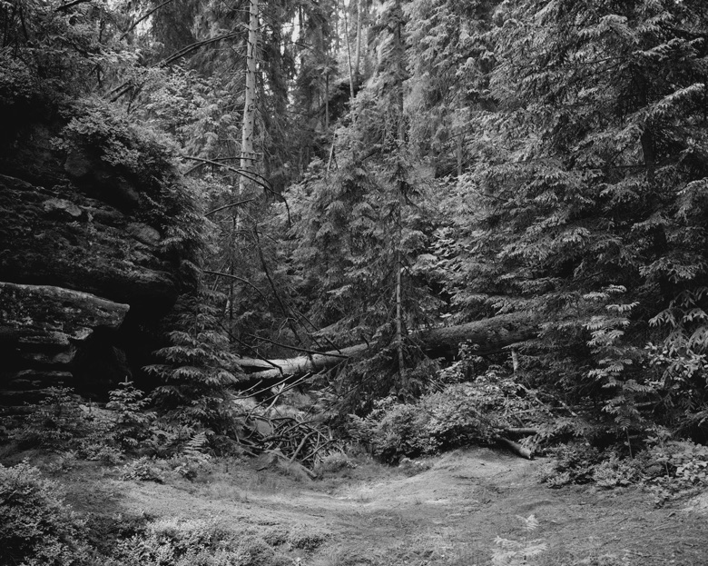 Landscape, Aderšpach, 2015. 