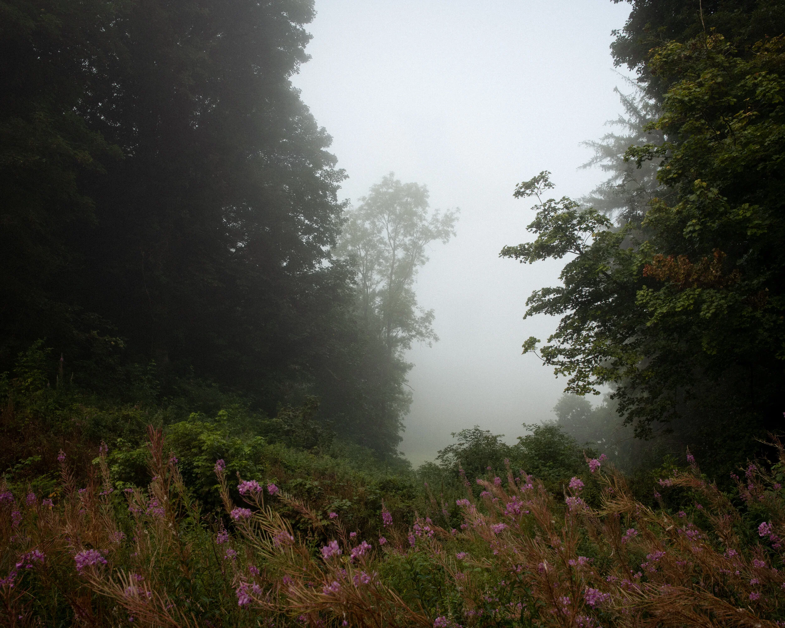 4_Killerton.jpg