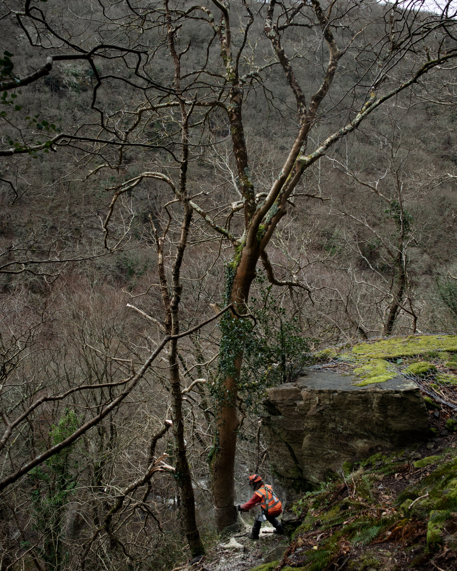 49_Watersmeet_6.jpg