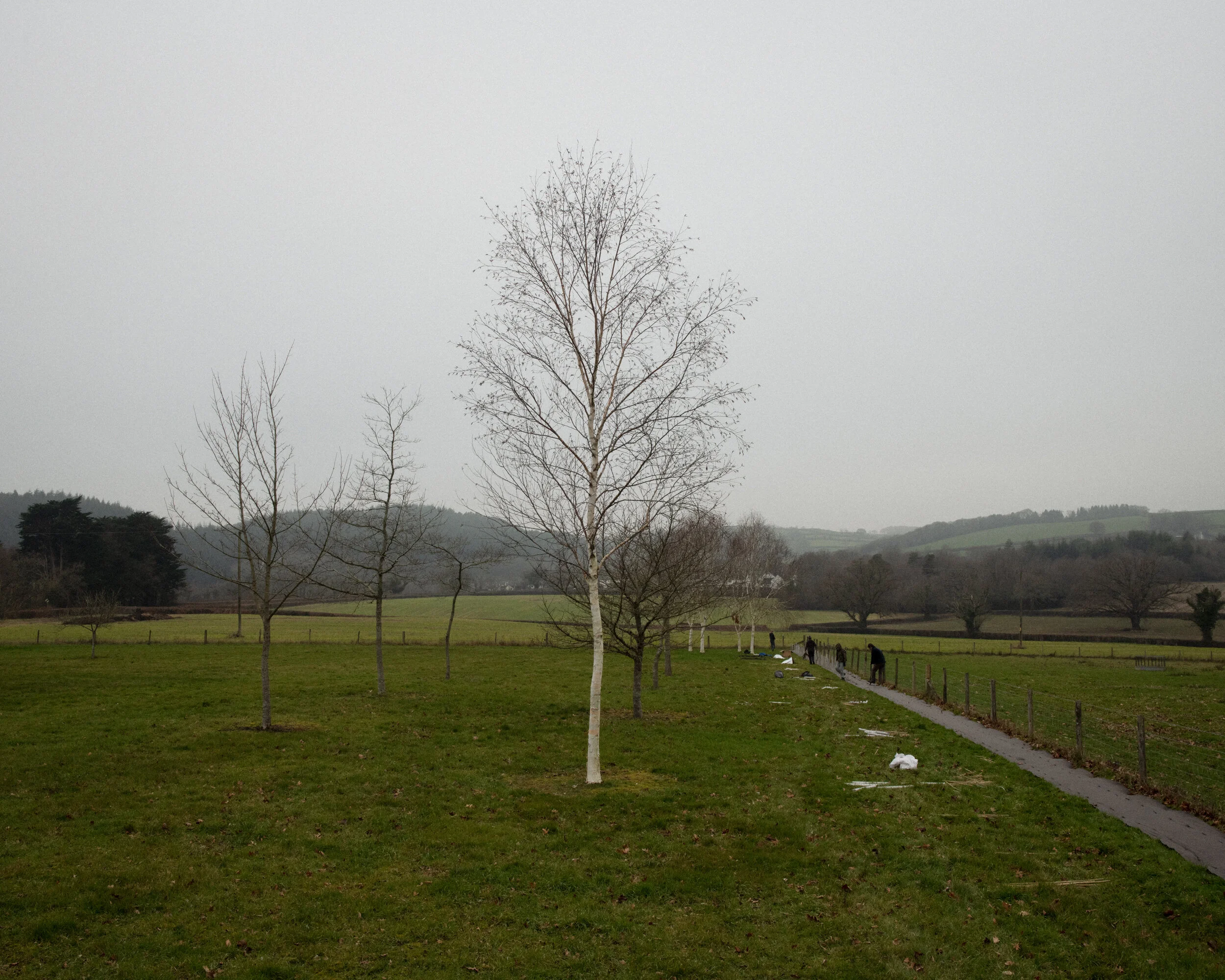 117_Liverton_1.jpg