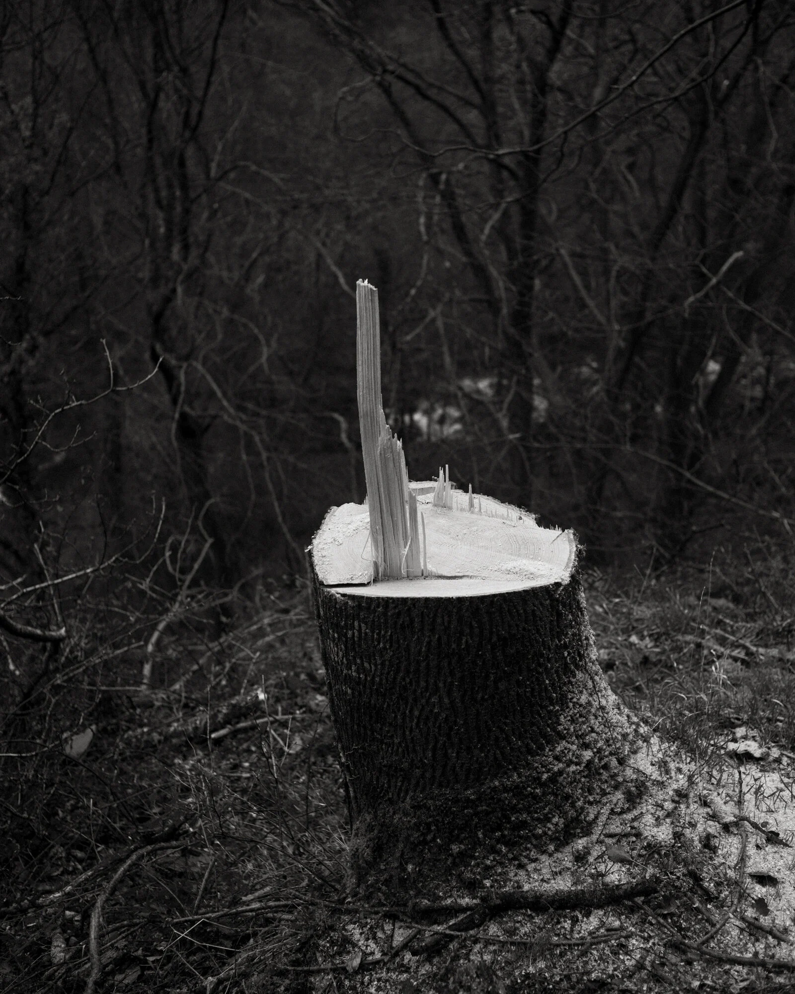 53_Watersmeet_18.jpg
