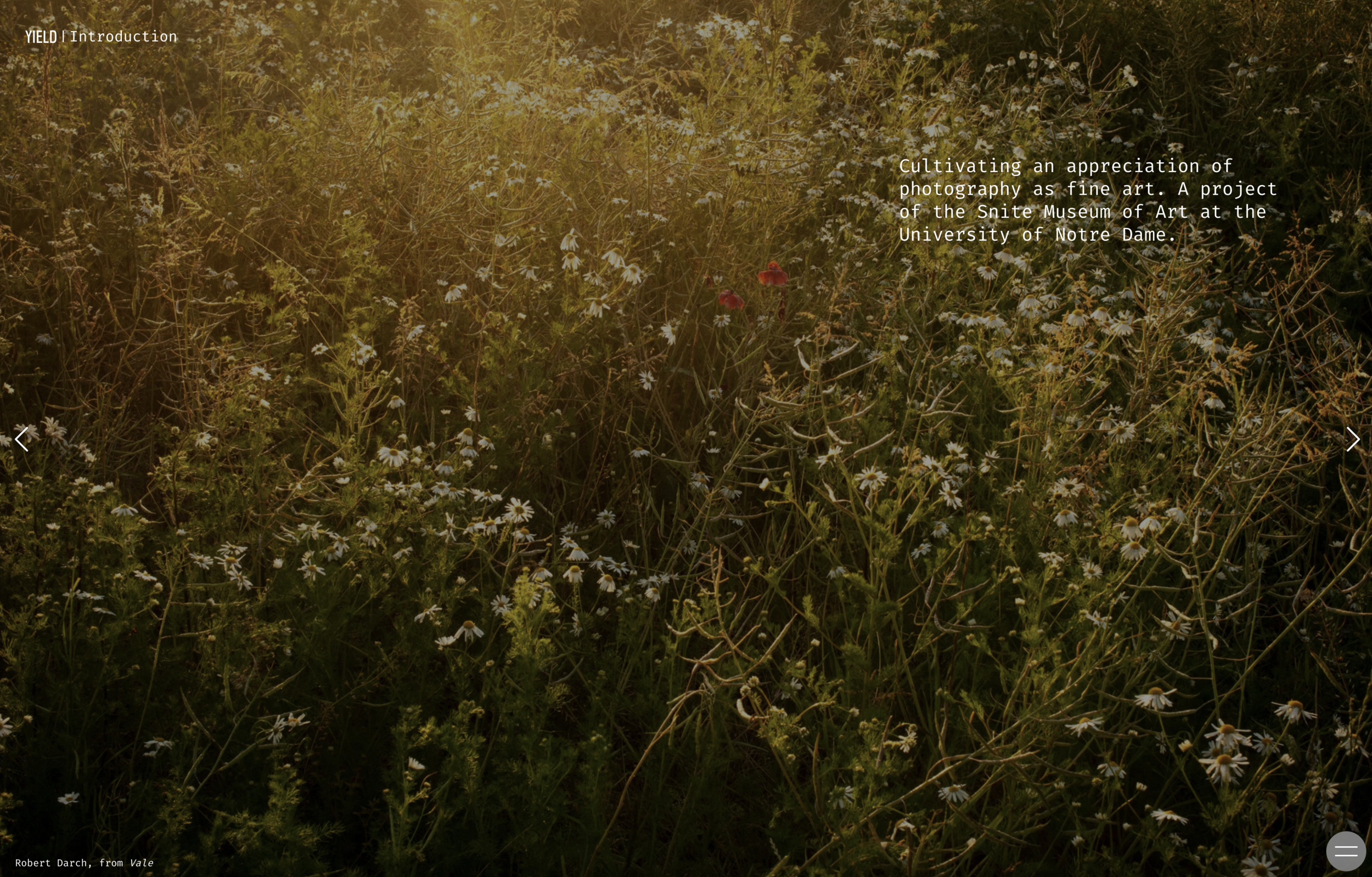 Screenshot 2021-11-15 at 15.37.35.png