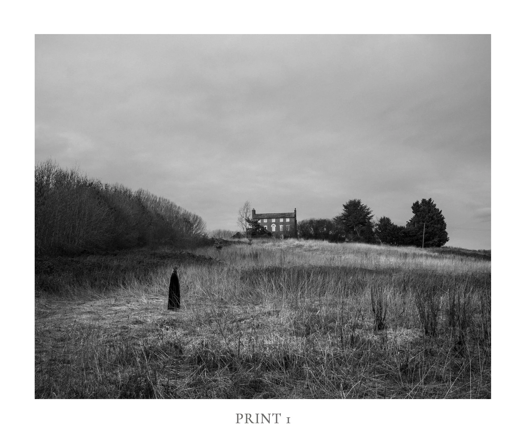 Print1.jpg