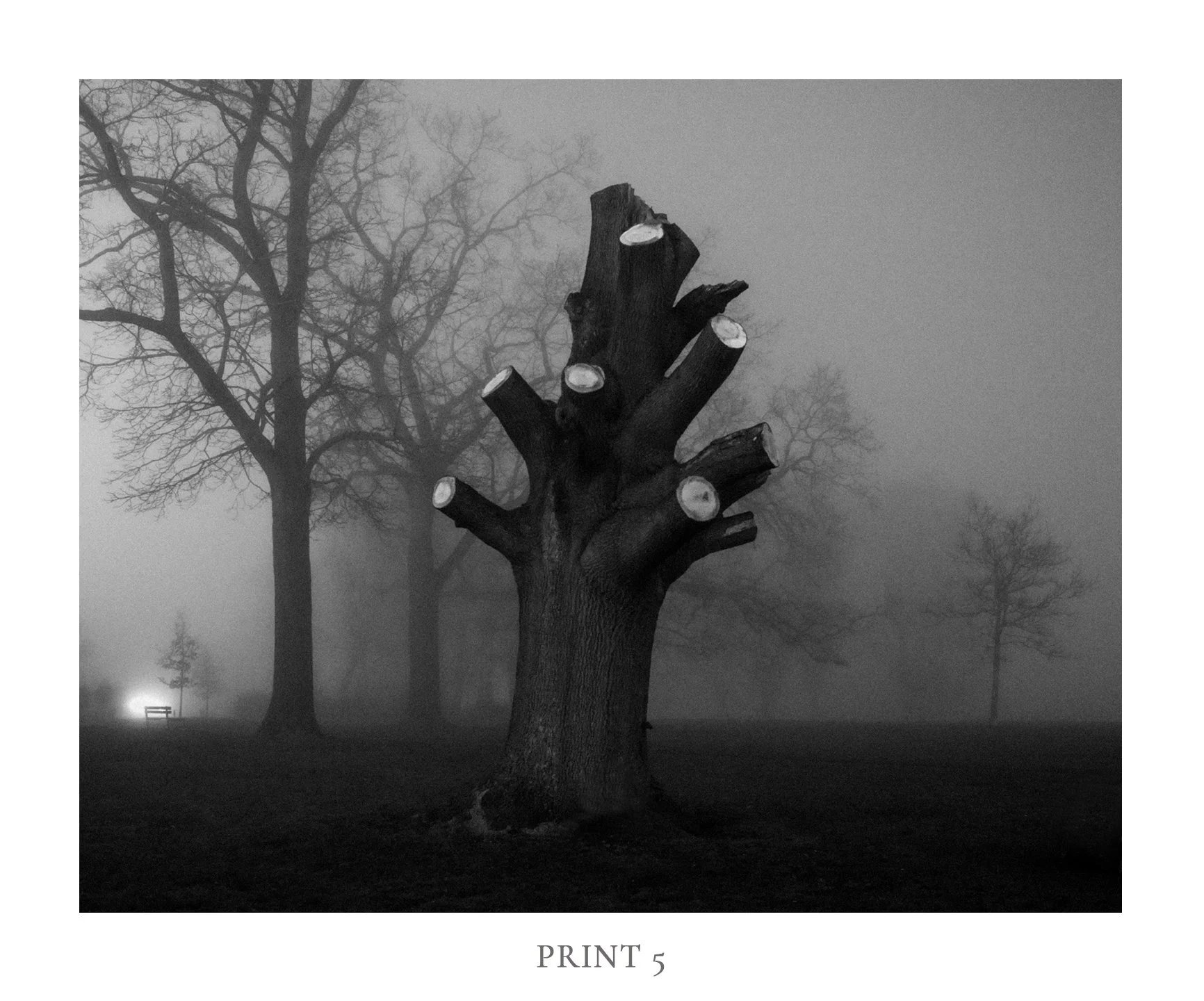 Print5.jpg