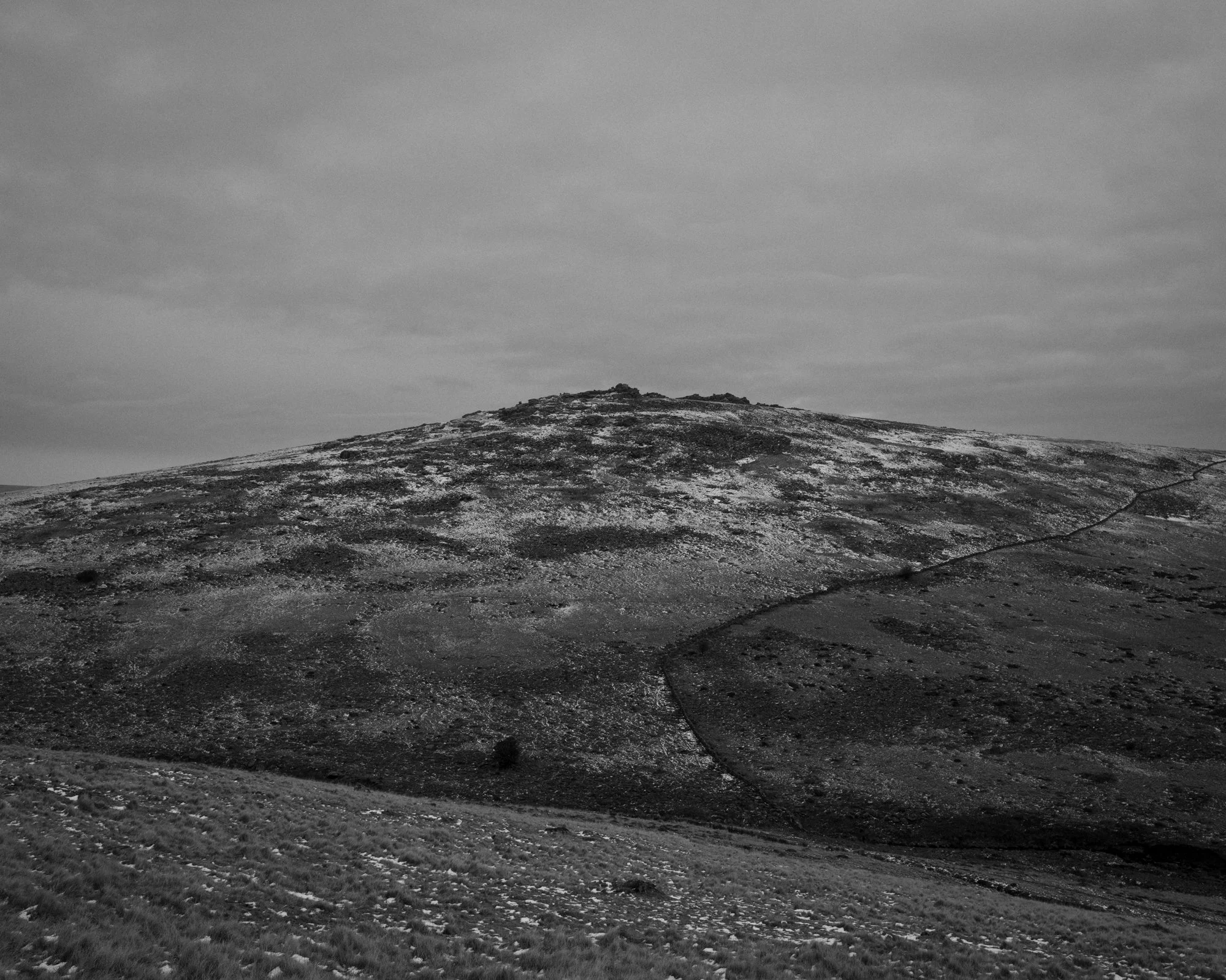 DSC_6832.jpg
