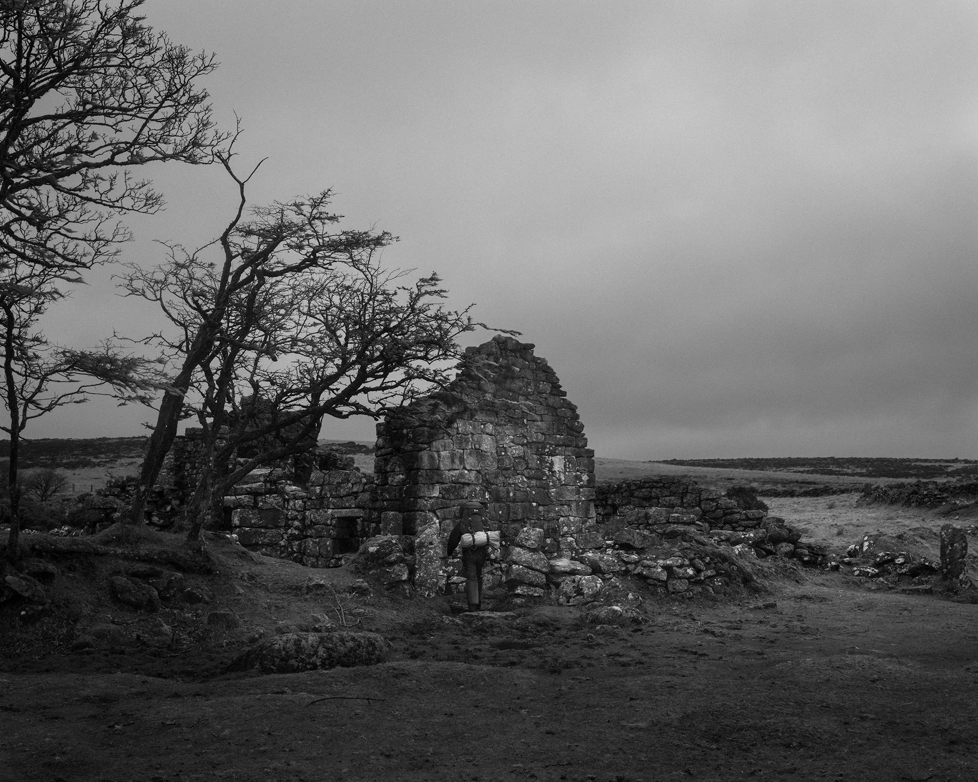 DSC_5537.jpg
