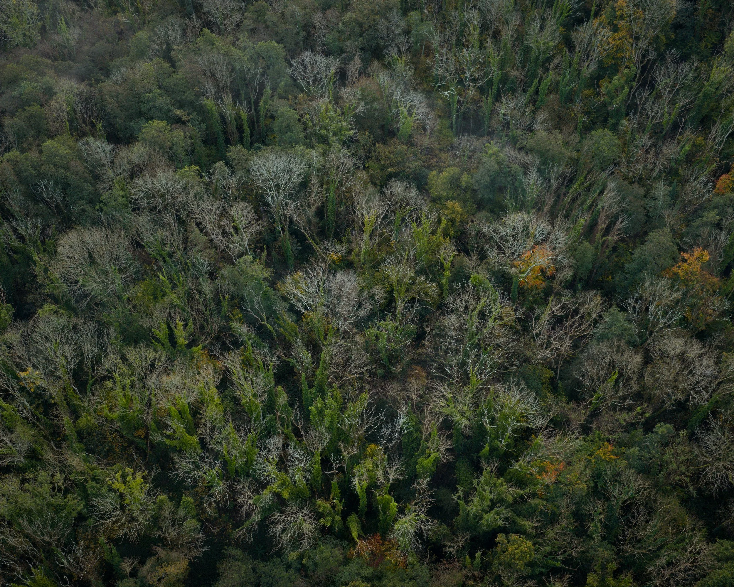 DJI_20251022075807_0647_D.jpg