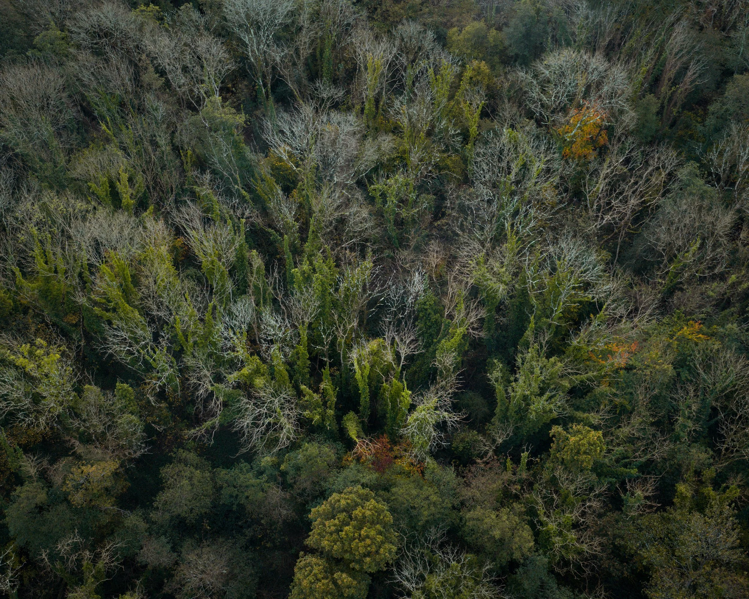 DJI_20251022075816_0648_D.jpg