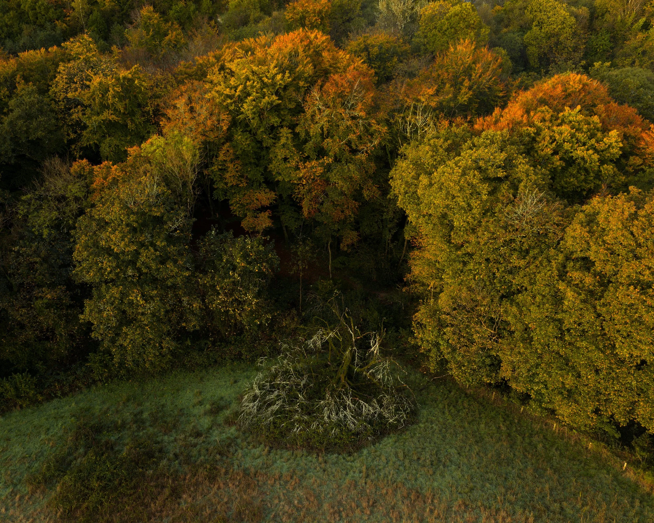 DJI_20251022082052_0672_D.jpg