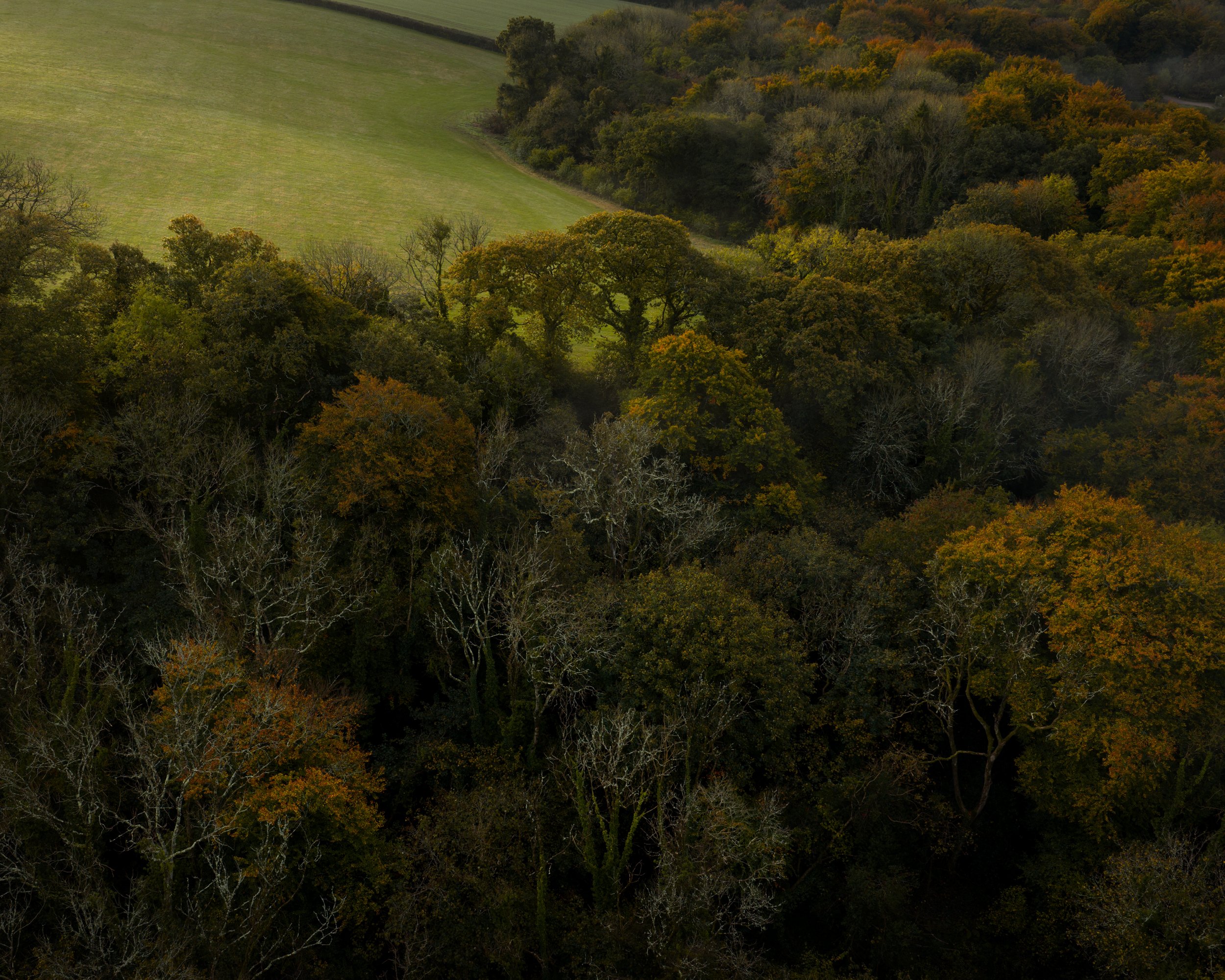 DJI_20251022082405_0684_D.jpg