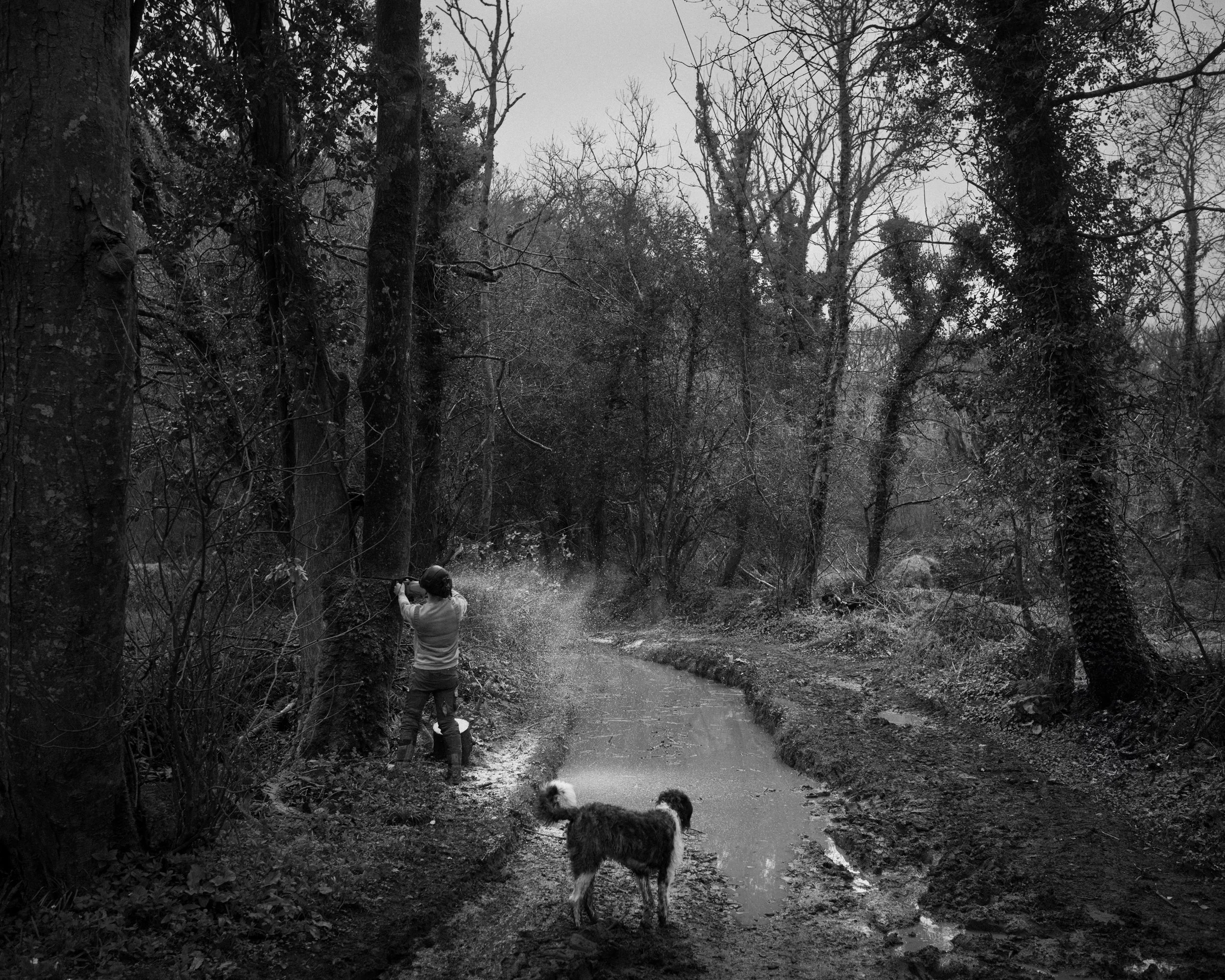 DSC_1144.jpg