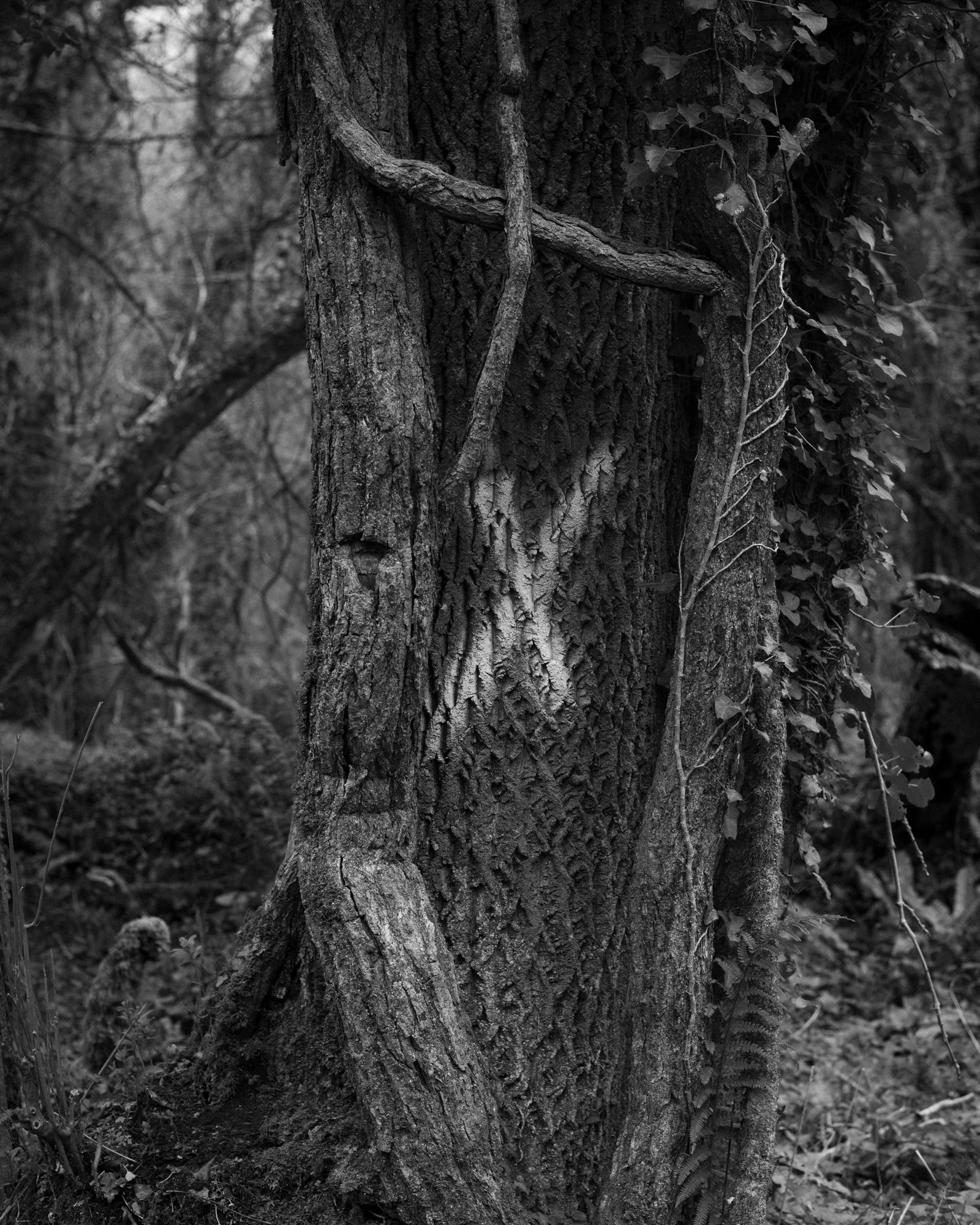 DSC_1461.jpg