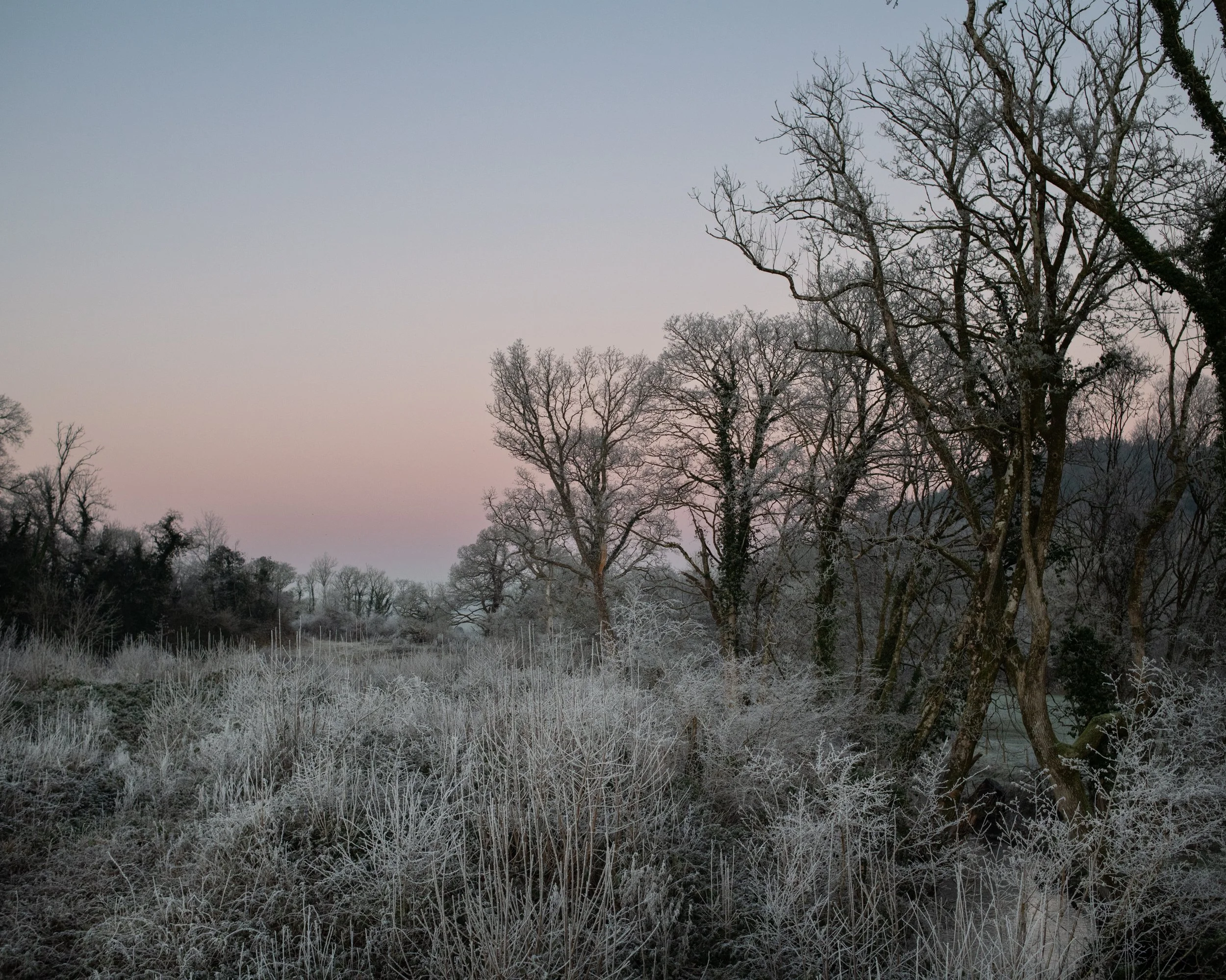 DSC_5100.jpg