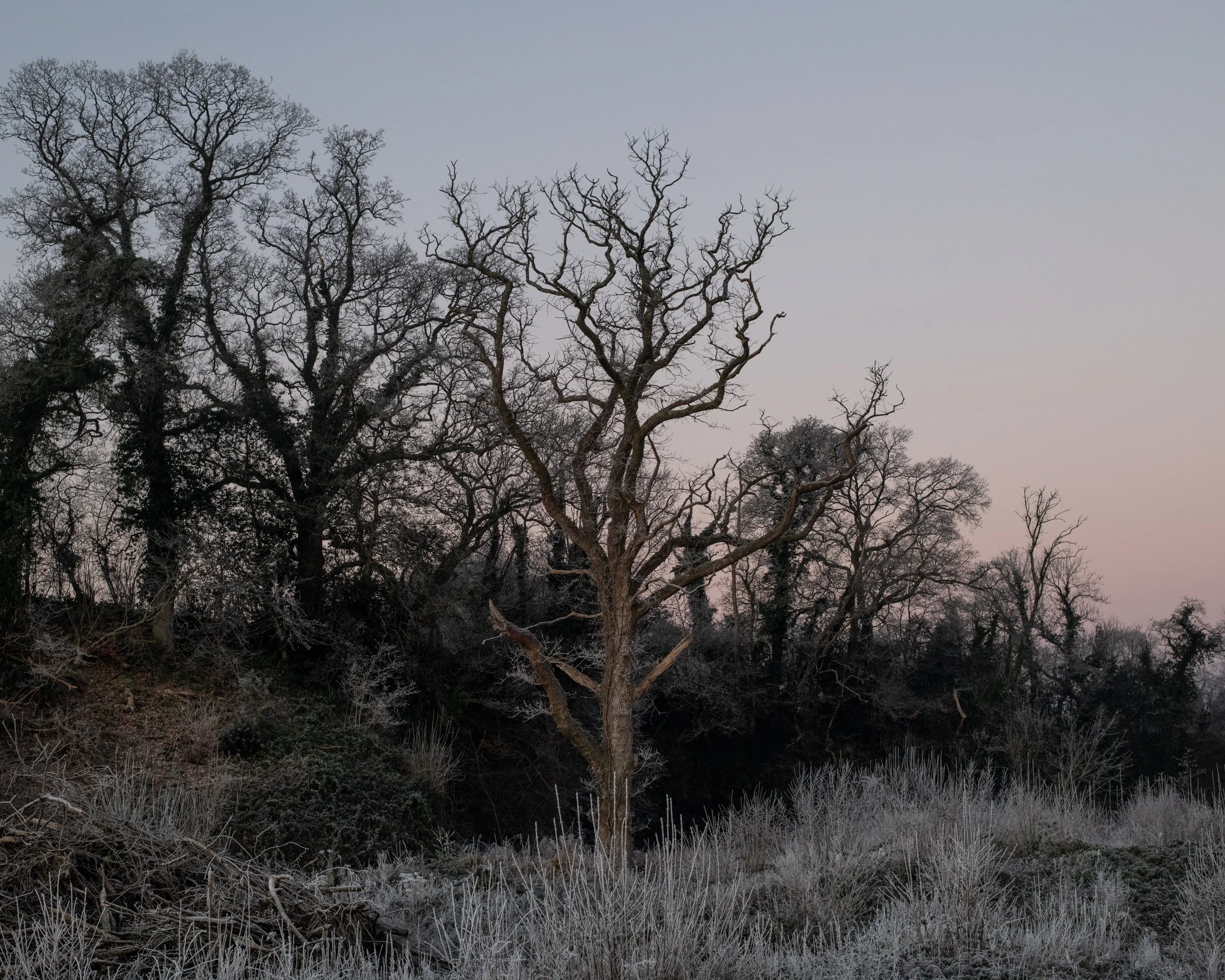 DSC_5108.jpg