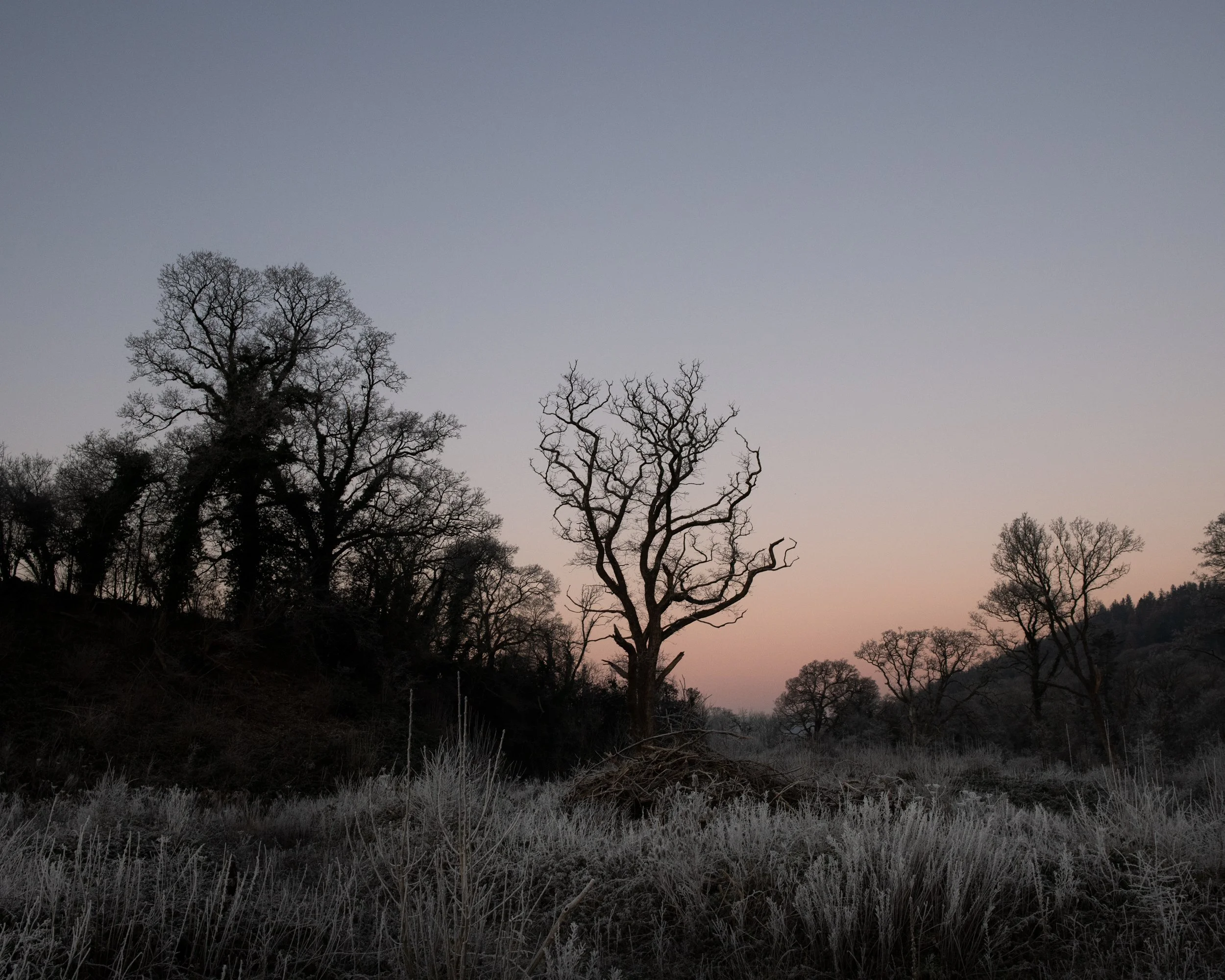 DSC_5154.jpg